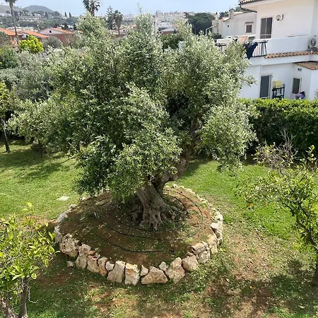 Sperlonga Apartment *